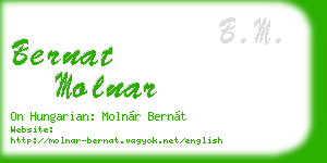 bernat molnar business card