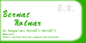 bernat molnar business card